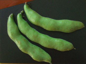 2d8e8118.jpg