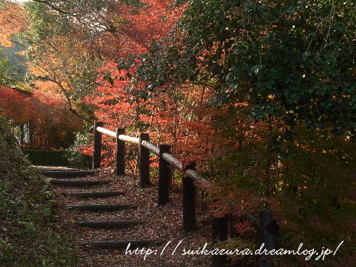 長門峡2018紅葉4