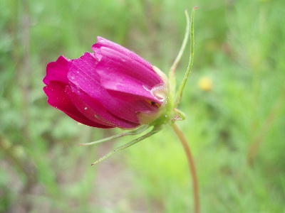 30e429c5.jpg