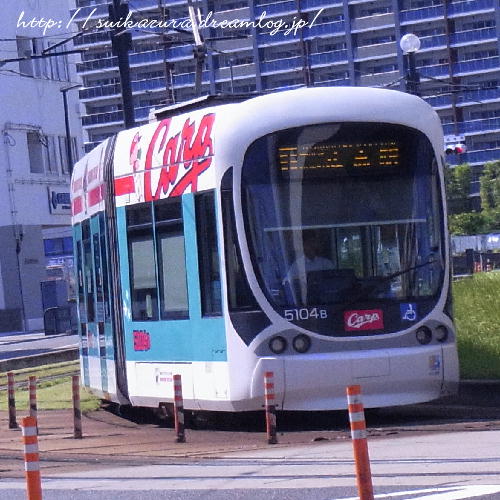 カープ電車