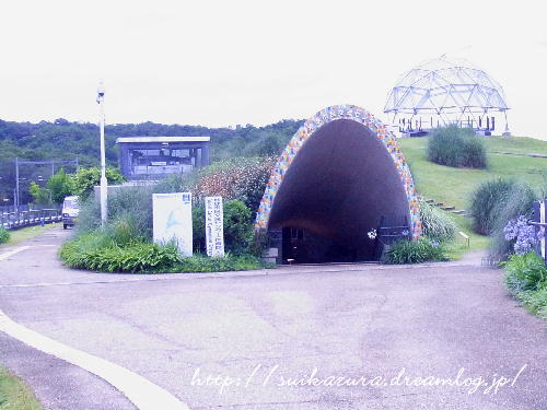 名古屋2019-5