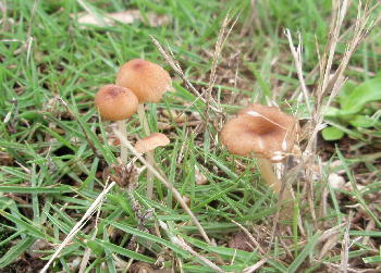 526d076b.jpg