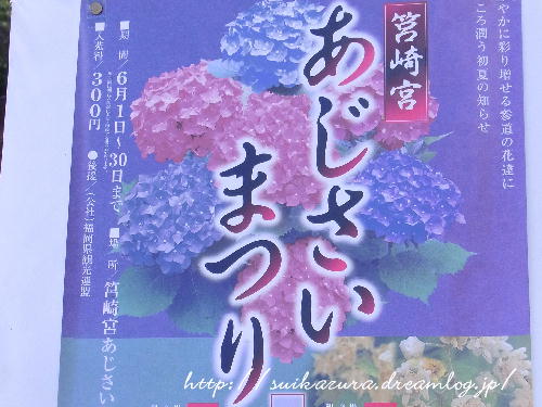 筥崎宮2018-5