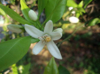 6efea064.jpg