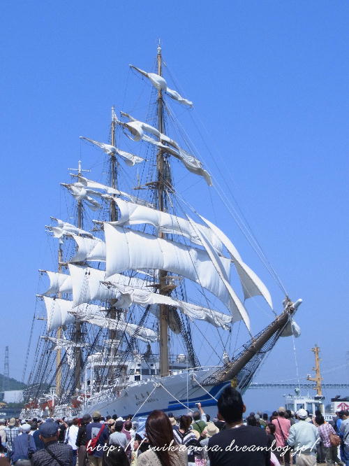 日本丸6