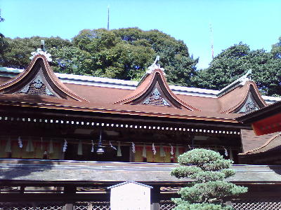 住吉本殿2