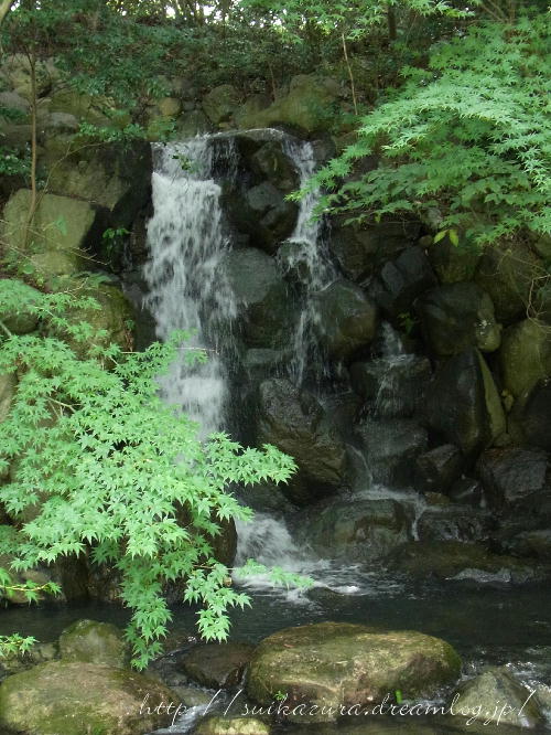 滝