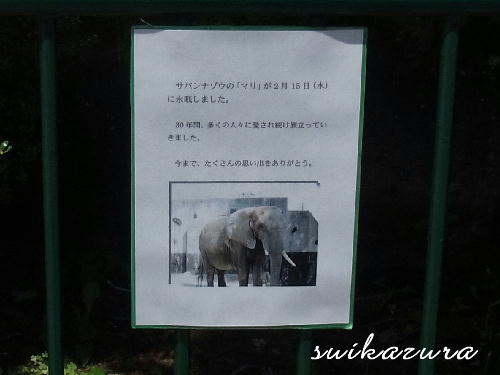 ゾウ 訃報
