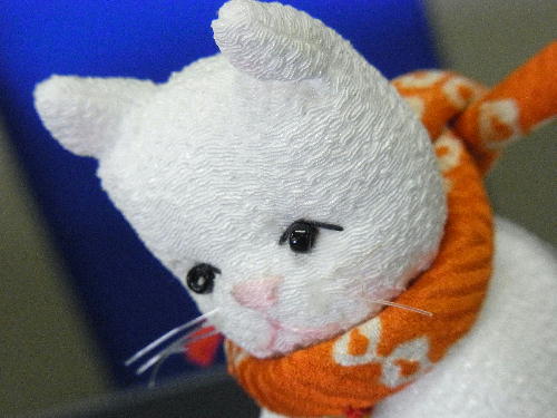 ねこ