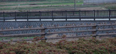 85ddc331.jpg