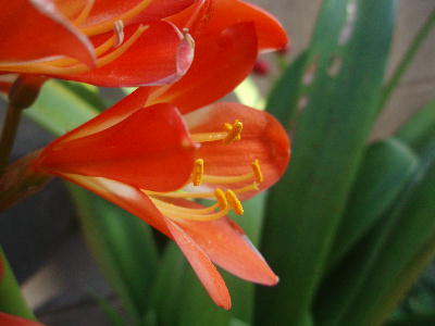 8b9350f1.jpg