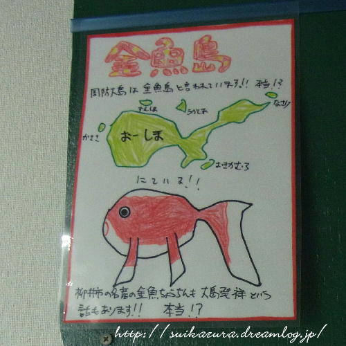 金魚島