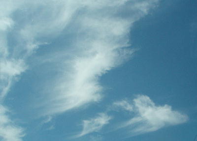 9cf1afb2.jpg