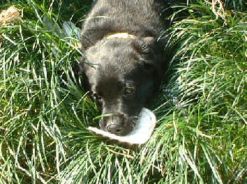 a2f6d7e3.jpg