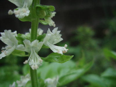 b30821b8.jpg