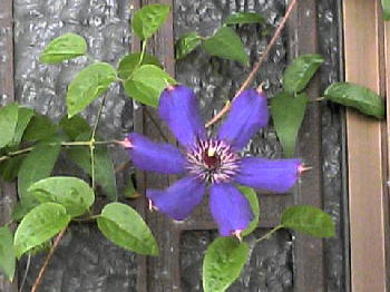 b6b9c059.jpg
