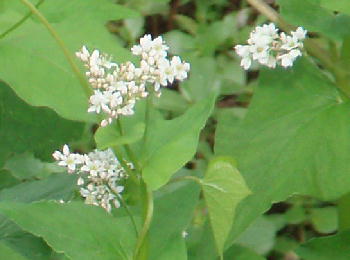 c79f3057.jpg