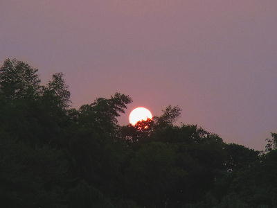 夕日