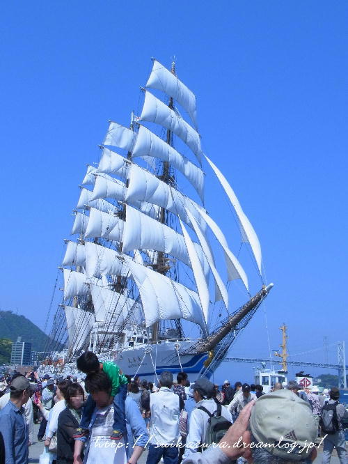 日本丸9