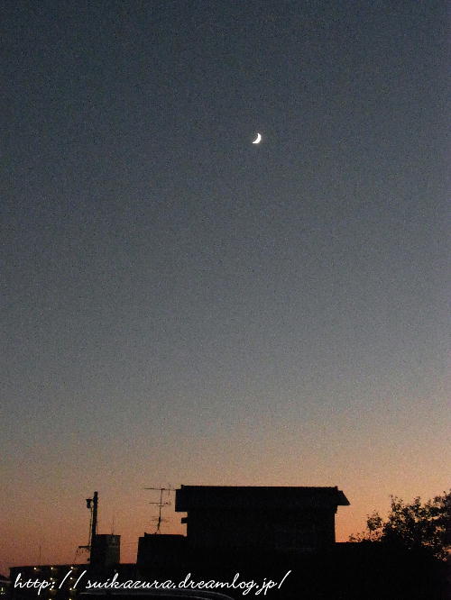 夕暮れ