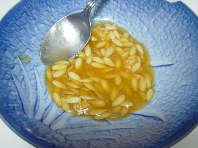 クインシーメロンのタネとり ハイポニカ水耕栽培で野菜の自給自足生活を