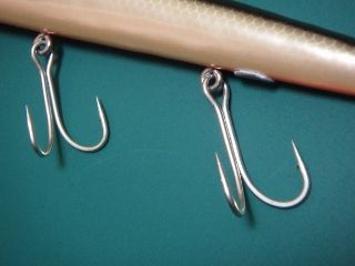 スピナーテールバングオー : 脱力系水面風味