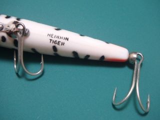 マグナムタイガー、再調整。 : 脱力系水面風味