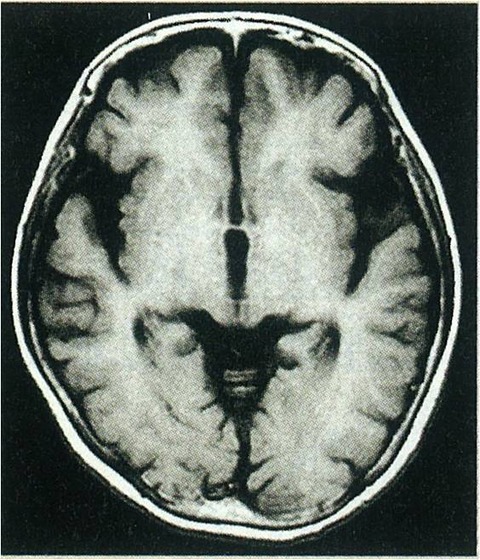 e5373898711b2738a4d871f64250c26c