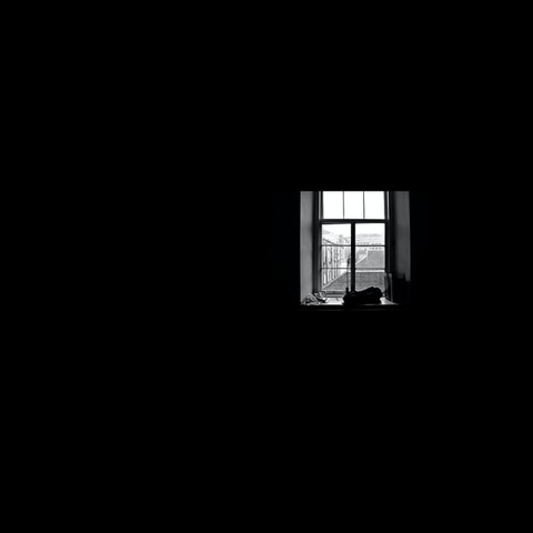 josh-nuttall-xl2piFfdzyA-unsplash