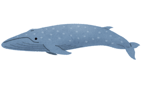 whale_01_shironagasukujira