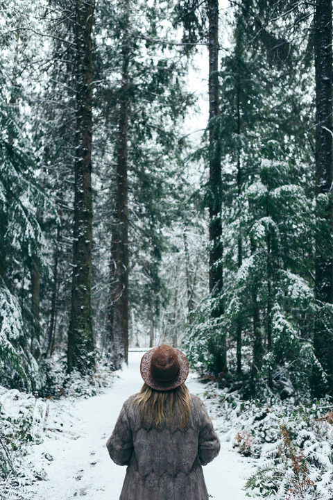 snow-covered-trails-of-fantasy