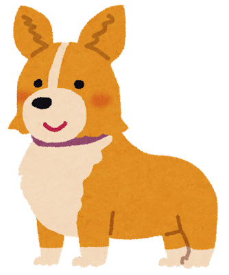 dog_corgi