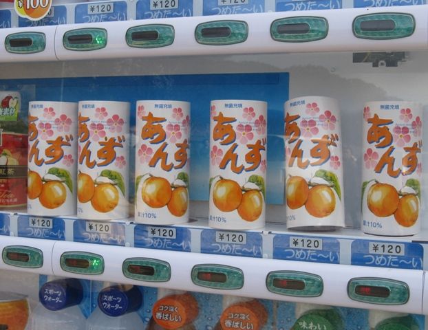 千曲市あんずの里へ とある信州のバスマニア 千曲市あんずの里へ とある信州のバスマニア