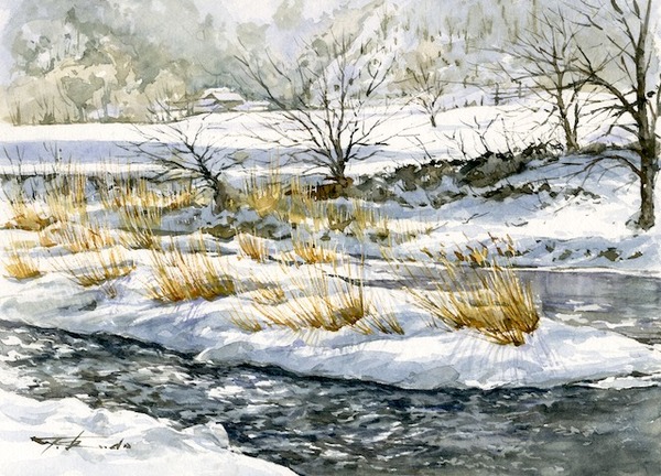 冬煌く（釜津田）F4ストラスモア、シュミンケ