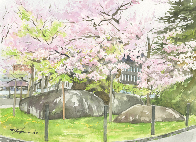 石割桜 油彩画・油絵 楽天市場】中島千波 「 石割櫻 」 彩美版方式 複製画 : 内田画廊