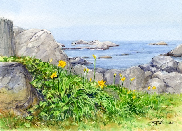 ニッコウキスゲ （八戸市・種差海岸・青森県） : 水彩画 from いわて