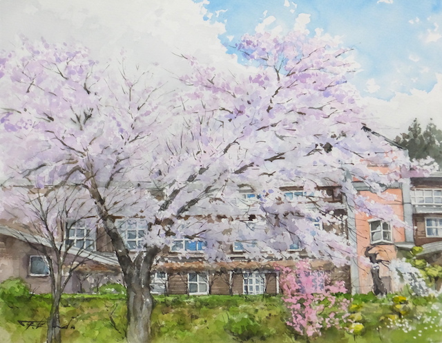 癒しの水彩画1073  桜 癒しの水彩画1073 桜