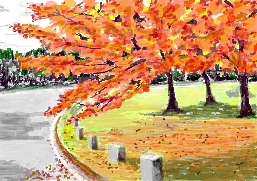 水彩画「相模川の紅葉」 10月29日🍂紅葉を描く実演講座無事終了致しました♪ : 水彩