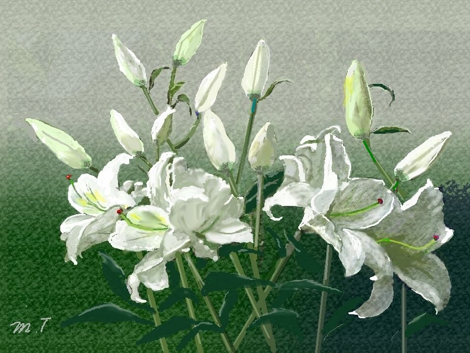 ユリの水彩画 1864年制作 mqdefault.jpg