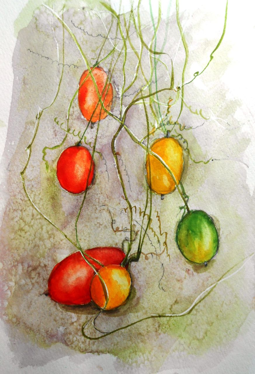 からすうり 水彩画 : 水彩8・道子のつれづれ日記