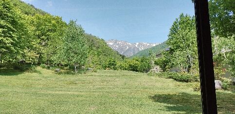 IMG_20230512_100706_copy_483x235