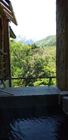 IMG_20230511_134744_copy_235x483