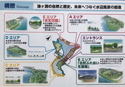 油ヶ淵水辺公園-102