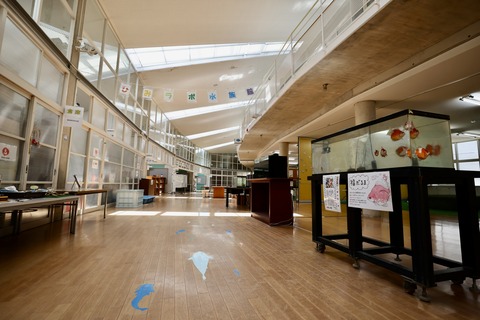 ひみラボ水族館-8