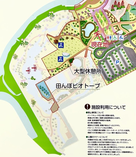 油ヶ淵水辺公園-105