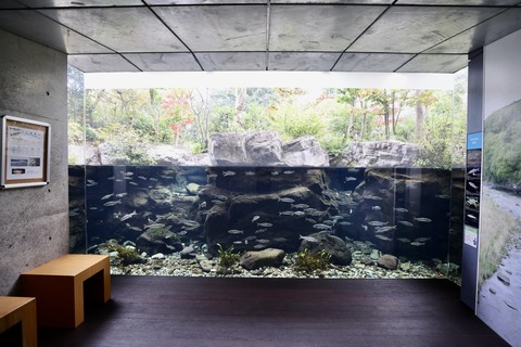 なかがわ水遊園-8