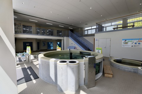 富山県栽培漁業センター-22