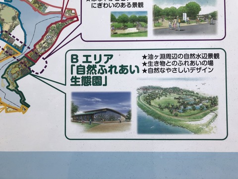 油ヶ淵水辺公園-103
