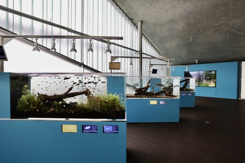 なかがわ水遊園-21