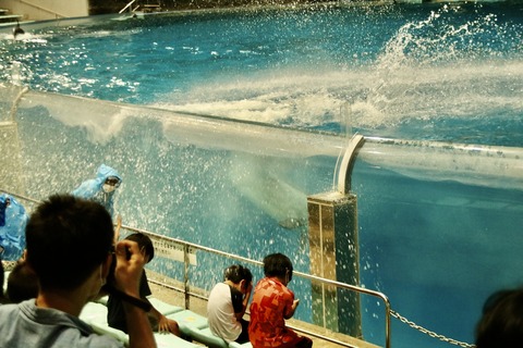 名古屋港 ナイトアクアリウム2021-19